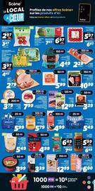 IGA flyer Page 11