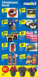 Maxi flyer Page 9
