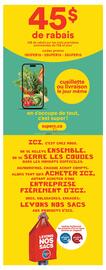 Super C flyer Page 13