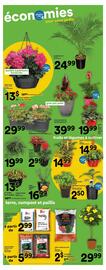 Super C flyer Page 17