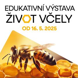 Europark leták Strana 1