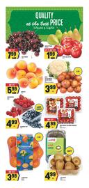 Marché Adonis flyer week 21 Page 5