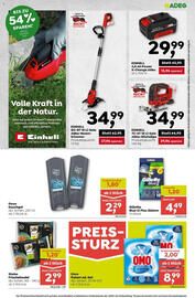 ADEG Flugblatt woche 21 Seite 11