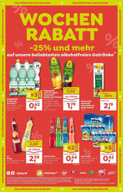 ADEG Flugblatt woche 21 Seite 12