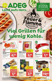 ADEG Flugblatt woche 21 Seite 13