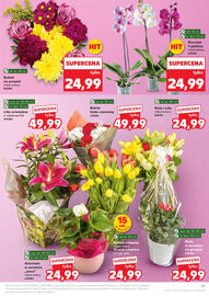 Kaufland gazetka tydzień 21 Strona 17