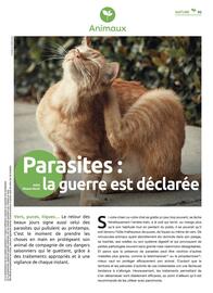 Catalogue Mr Bricolage page 93