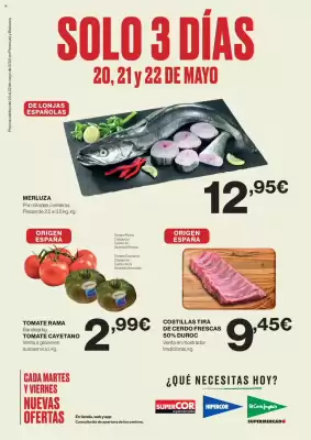 Folleto El Corte Inglés (válido hasta el 22-05)