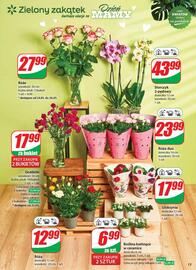 Dino gazetka tydzień 21 Strona 13