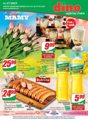 Dino gazetka