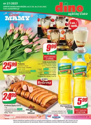 Dino gazetka (ważność do 27-05)