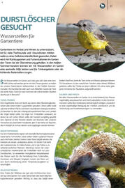 Zookauf Prospekt Seite 11