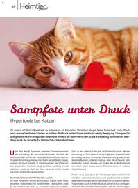 Zookauf Prospekt Seite 158
