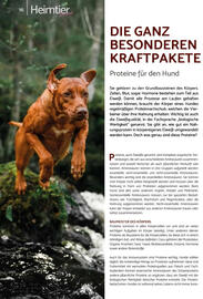 Zookauf Prospekt Seite 72