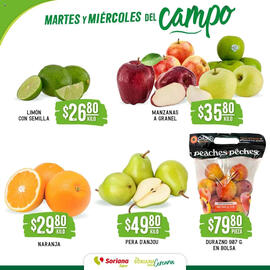 Catálogo Soriana Súper Página 2