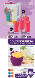 Catálogo Tupperware Página 29