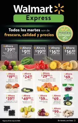 Catálogo Walmart Express