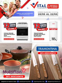 Catálogo Supermayorista Vital Página 2