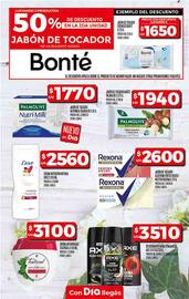 Catálogo Supermercados DIA semana 21 Página 20