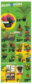 Super C flyer Page 16