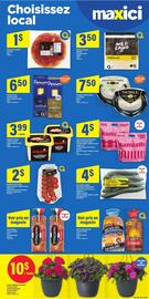 Maxi flyer Page 13