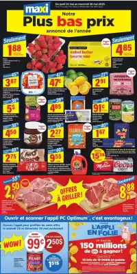 Maxi flyer (valid until 2-06)
