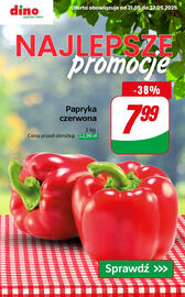 Dino gazetka tydzień 21 Strona 1