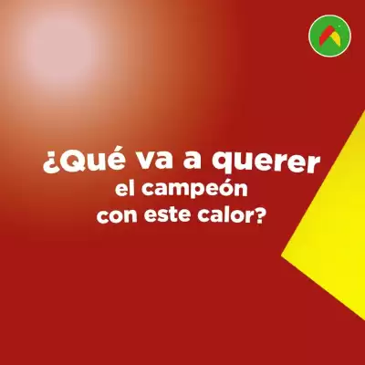 Catálogo Bodega Aurrerá (válido hasta 22-05)