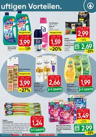 Spar Flugblatt Seite 19