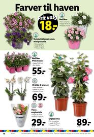 Lidl tilbudsavis uge 22 Side 16