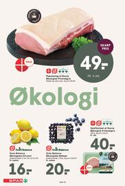 SPAR tilbudsavis uge 21 Side 10