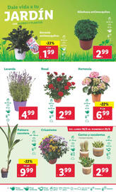 Folleto Lidl semana 21 Página 10