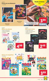 Folleto Lidl semana 21 Página 21