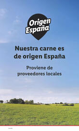 Folleto Lidl semana 21 Página 55