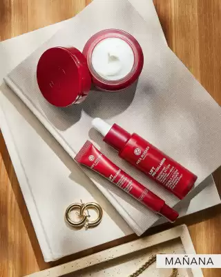 Catálogo Yves Rocher