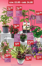 ALDI gazetka Strona 9