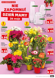 Kaufland gazetka tydzień 21 Strona 6