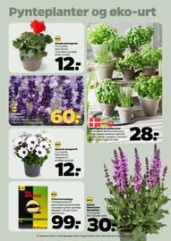 Netto tilbudsavis uge 21 Side 30