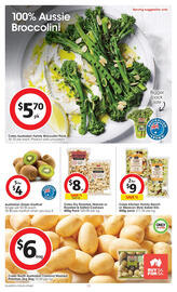 Coles catalogue week 21 Page 13