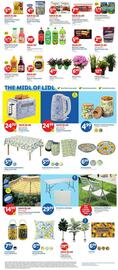 Lidl Weekly Ad week 21 Page 3