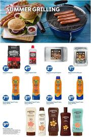 Lidl Weekly Ad week 21 Page 7