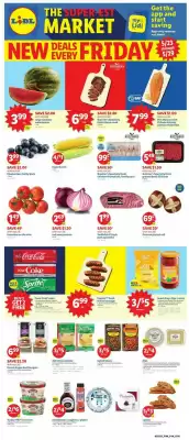 Lidl Weekly Ad (valid until 29-05)