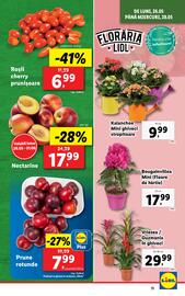 Catalog Lidl săptămâna 22 Pagină 11