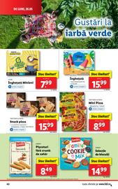 Catalog Lidl săptămâna 22 Pagină 40