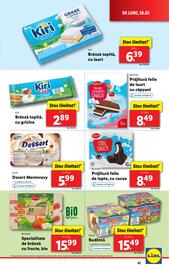 Catalog Lidl săptămâna 22 Pagină 41