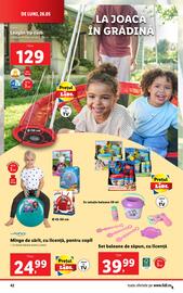 Catalog Lidl săptămâna 22 Pagină 42