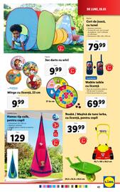 Catalog Lidl săptămâna 22 Pagină 43