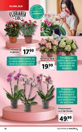 Catalog Lidl săptămâna 22 Pagină 66