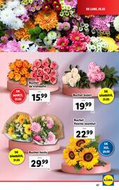 Catalog Lidl săptămâna 22 Pagină 67