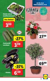 Catalog Lidl săptămâna 22 Pagină 75